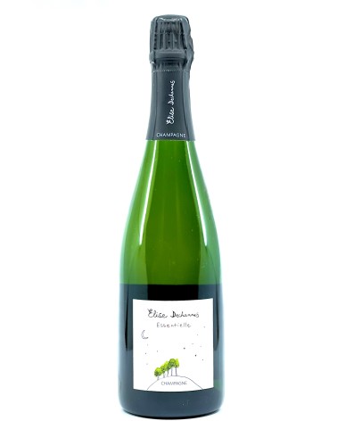 Elise Dechannes  Essentielle 2022