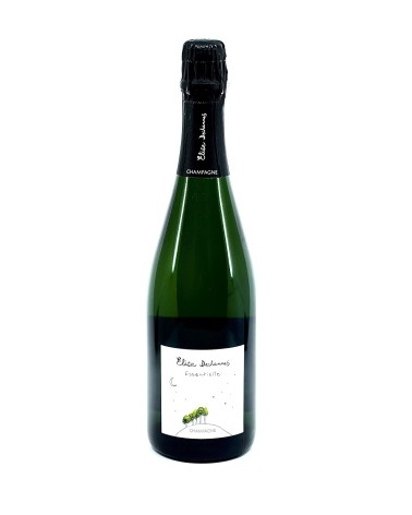 Elise Dechannes 2022